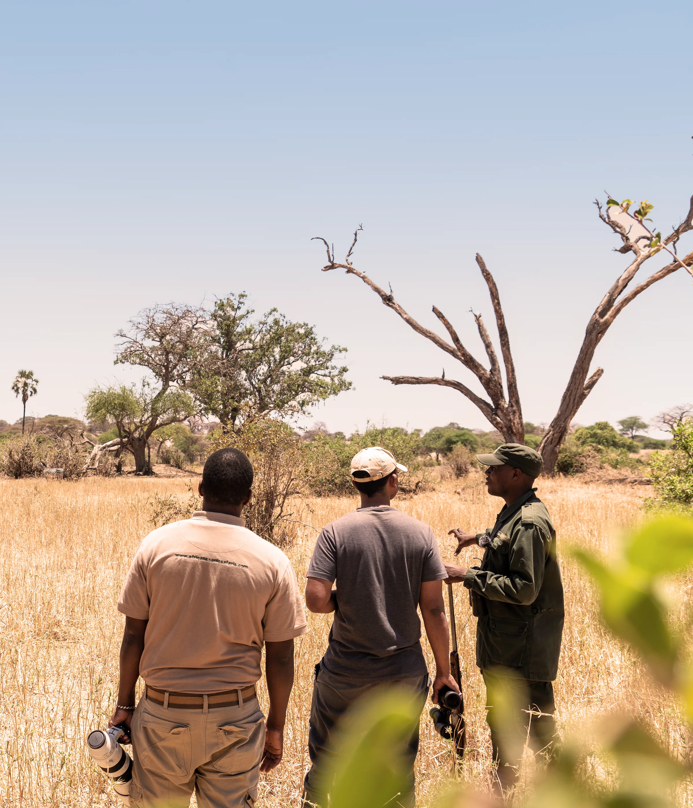 Tanzania Safari